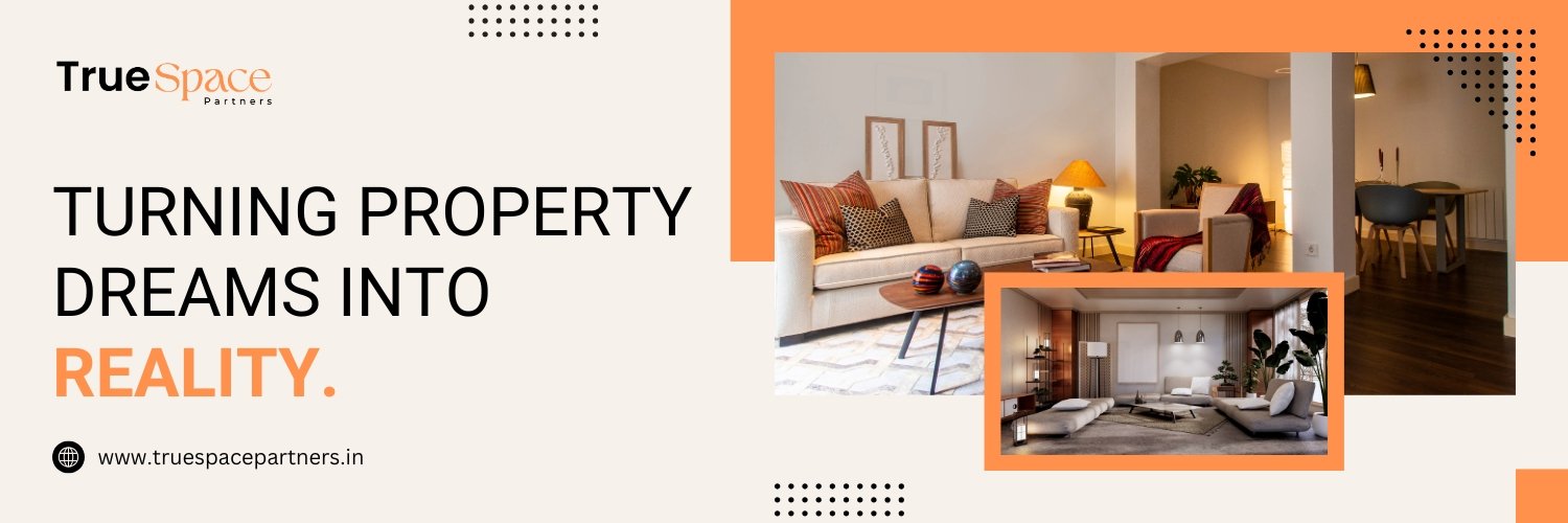 About True Space Partners 